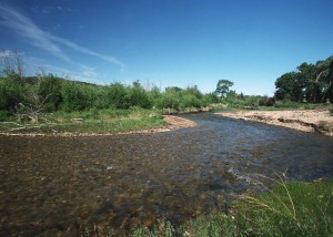 Trinchera Creek Trinchera Creek, near FT Garland.CO, Photo by USDA NRCS
