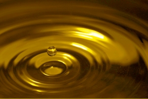 The New Frontier: Genetically Modified Oil Wars