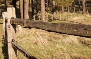 fence_in_the_country fence_in_the_country