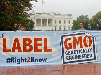 Bought Pro-GMO Research, Bees and Sulfoxaflor Update